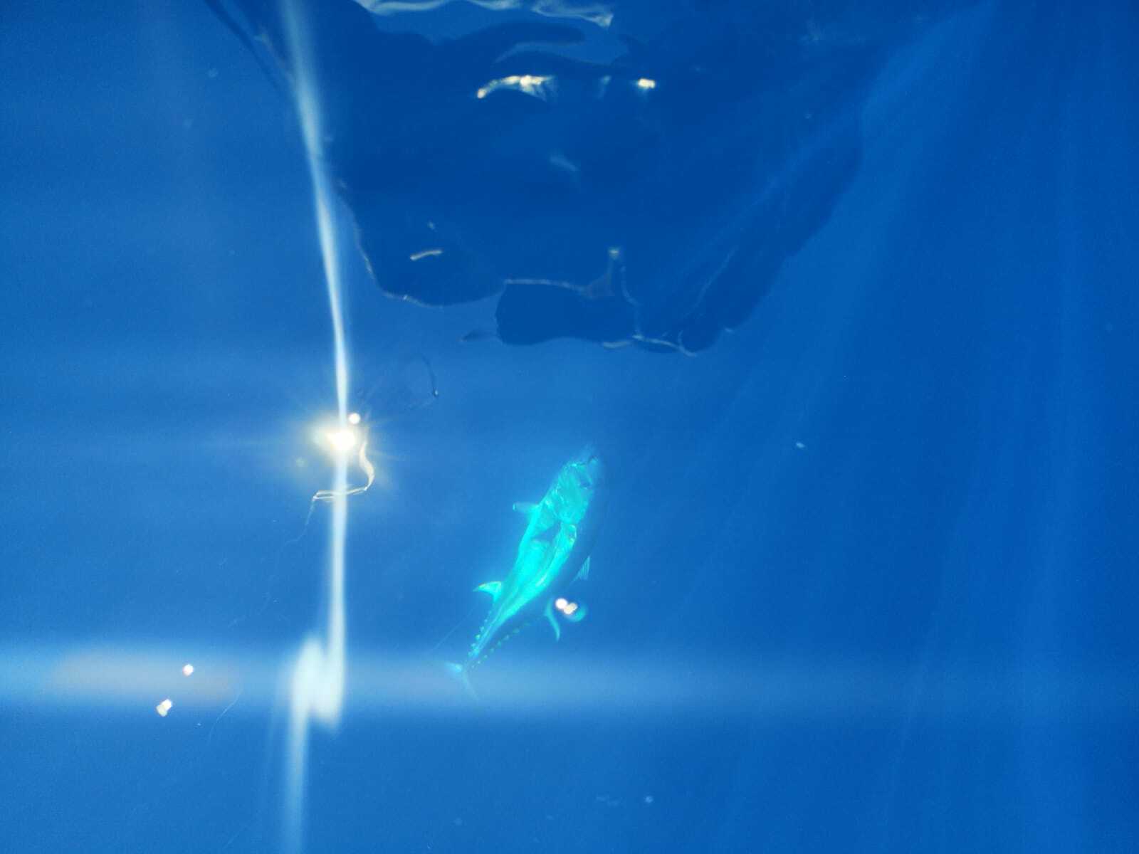 ARRETE THON ROUGE 2026