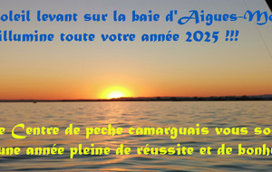 BONNE ANNEE