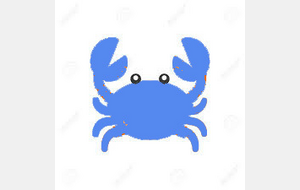 INFO : CRABE BLEU