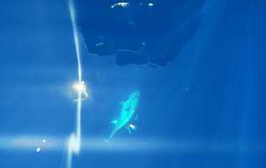 ARRETE THON ROUGE 2026