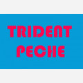 TRIDENT PECHE