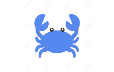 INFO : CRABE BLEU